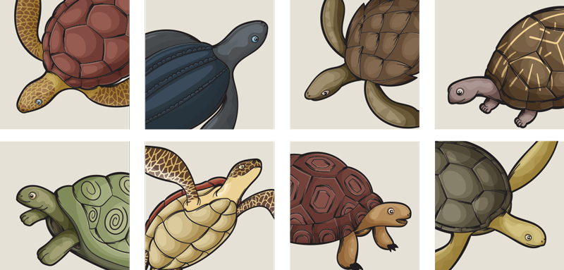 Animal vinyl rug variety of turtles design - TenStickers
