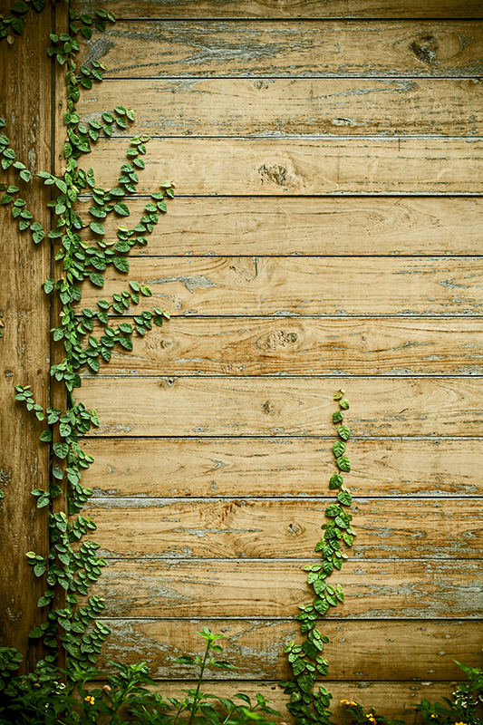Floral vinyl rug with vines on wood design - TenStickers