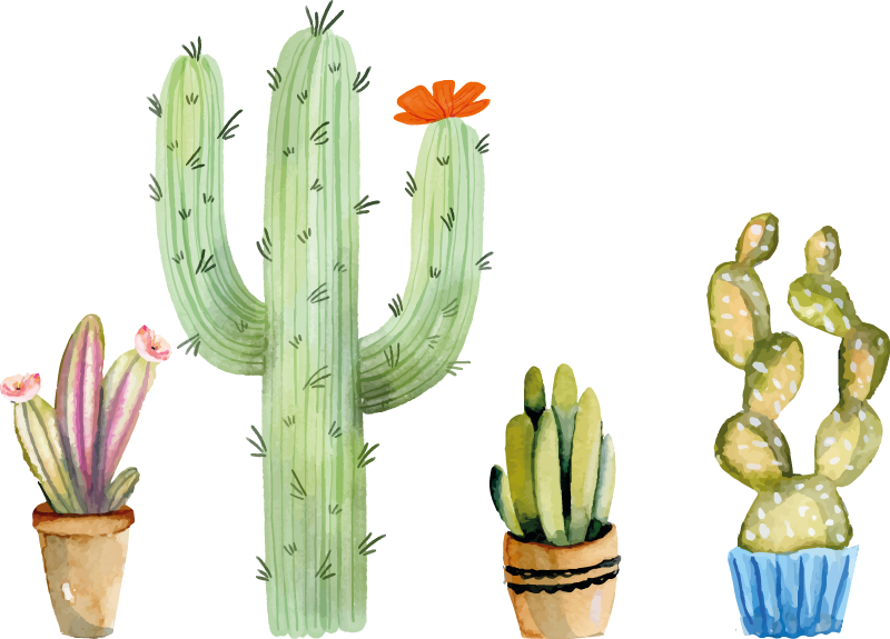 Dining room vinyl rug featuring cactus variety set - TenStickers
