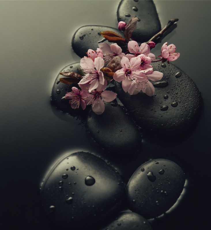 Nature vinyl rug zen atmosphere with stone for bathroom - TenStickers