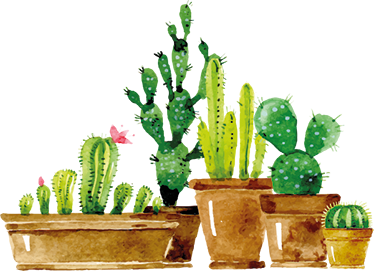 Floral vinyl rug for a diy cactus garden - TenStickers