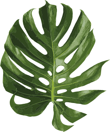 Floral vinyl rug with delightful monstera leaf - TenStickers