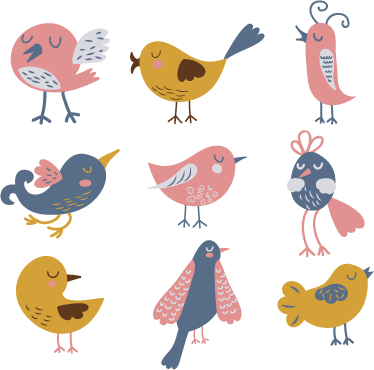 Kids vinyl rug nine bird sticker decoration - TenStickers