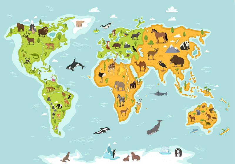 World map vinyl rug featuring wildlife and plants - TenStickers