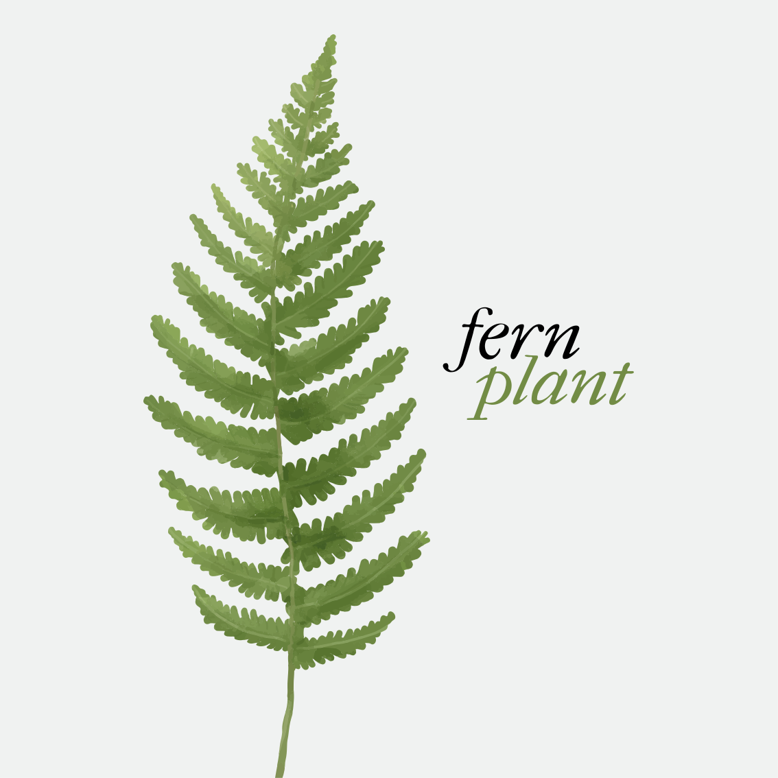 Custom rug fern plant minimalist style quadres 2 - TenStickers
