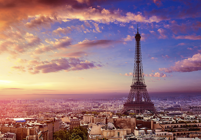 Purple vinyl rug with paris view - TenStickers