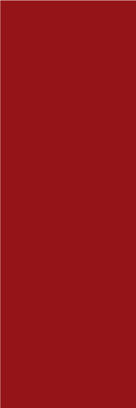 Red vinyl rug in rojo color for vibrant decor - TenStickers