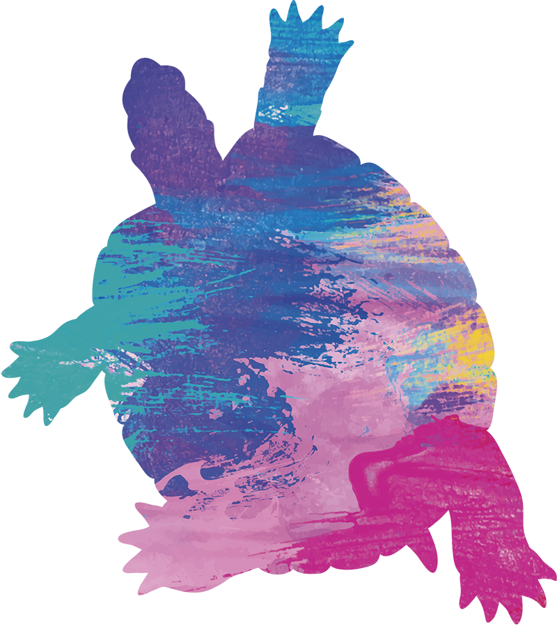 Colorful turtle animal vinyl rug - TenStickers