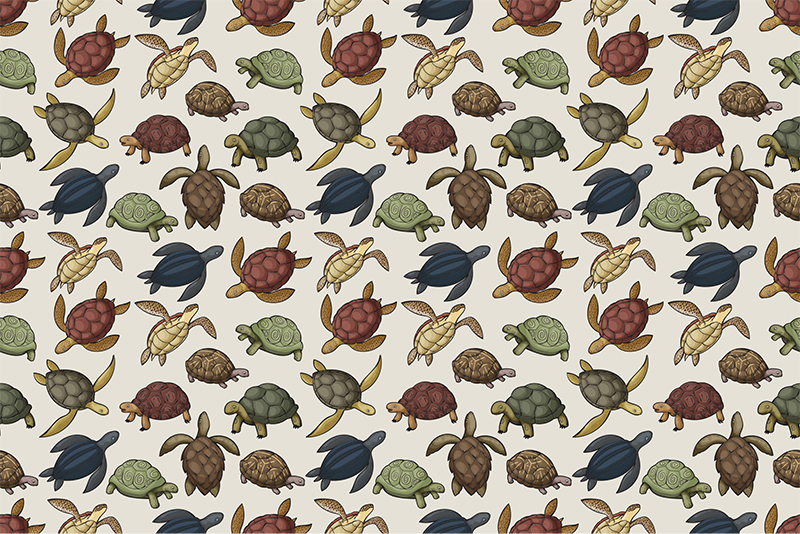 Variety of turtles animal vinyl rug - TenStickers