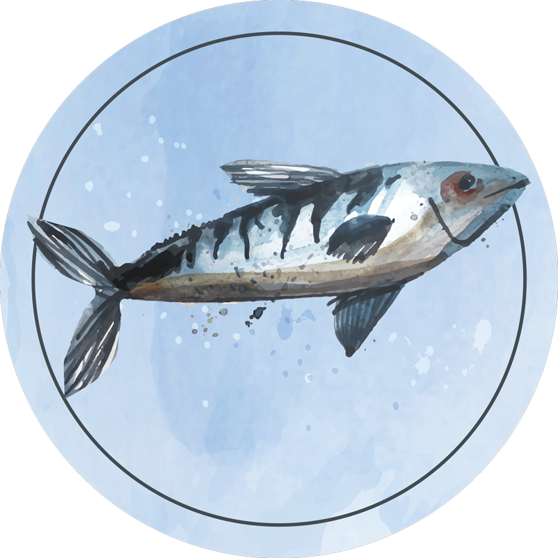 Aquatic Exploration animal vinyl rug - TenStickers