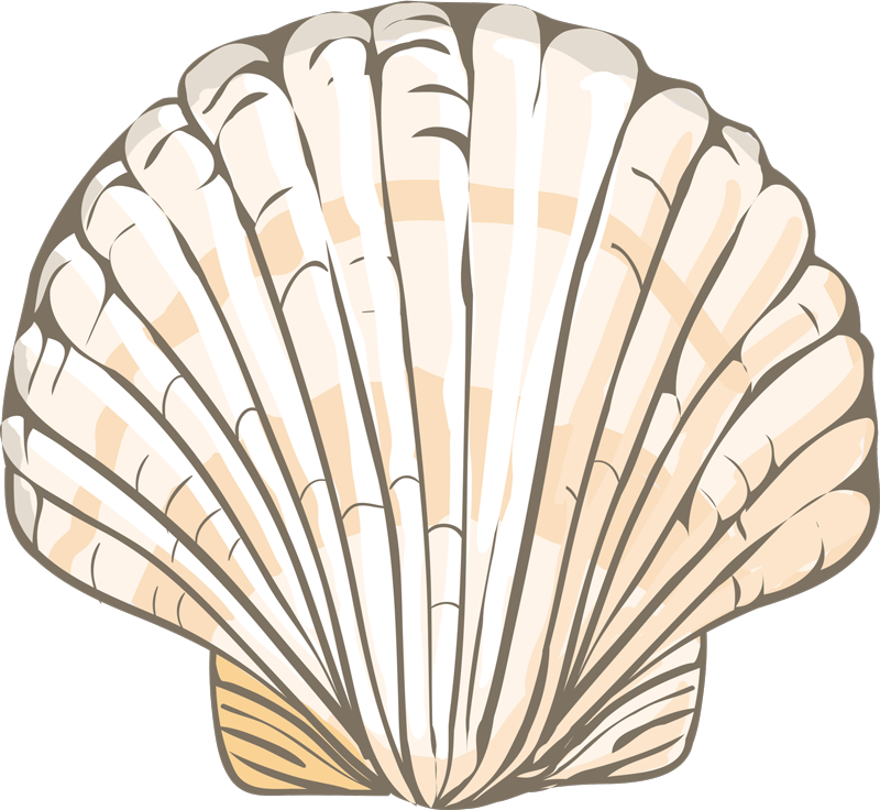Seashell Illustration animal vinyl rug - TenStickers