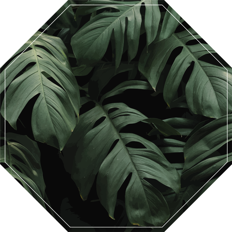 Monstera leaves floral rug - TenStickers