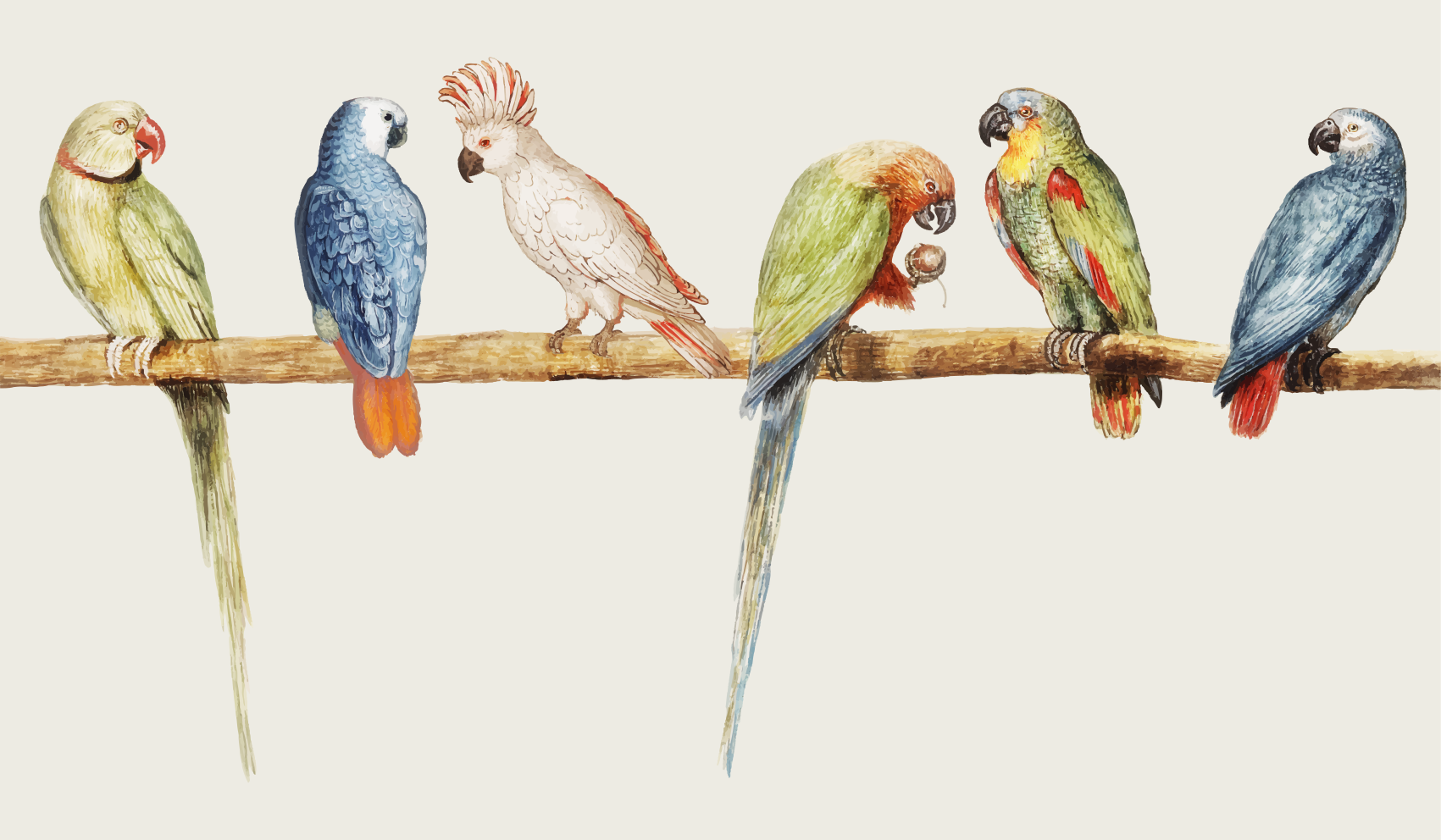 Parrot Perch Illustration animal vinyl rug - TenStickers