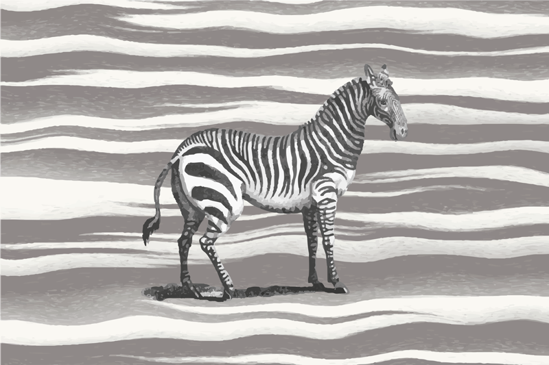 Zebra Striped animal print vinyl rug - TenStickers