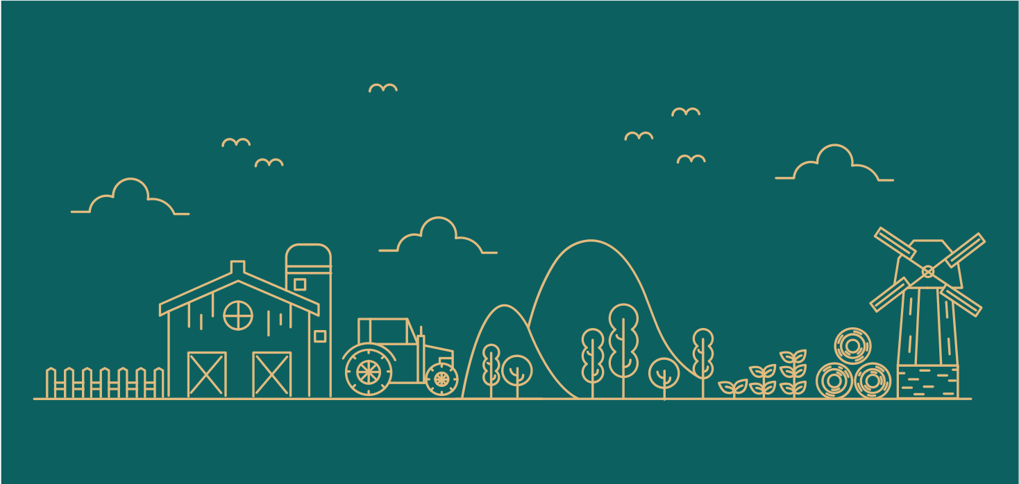 Educational Farm Game game vinyl rug - TenStickers