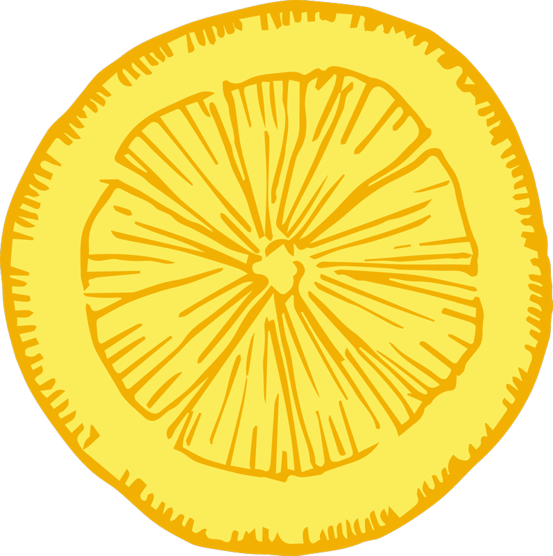 Yellow citrus slice kitchen vinyl rug - TenStickers