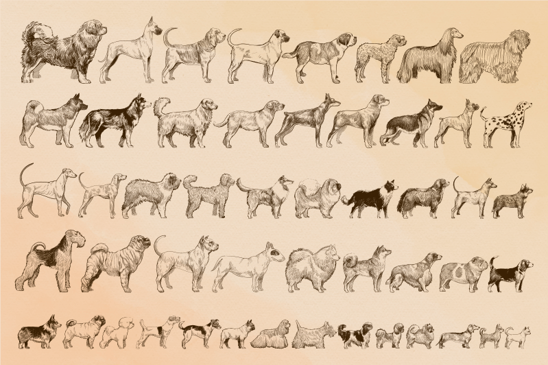 Dog sizes animal vinyl rug - TenStickers