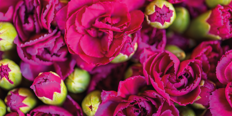 Bright Flower Blossoms floral vinyl rug - TenStickers