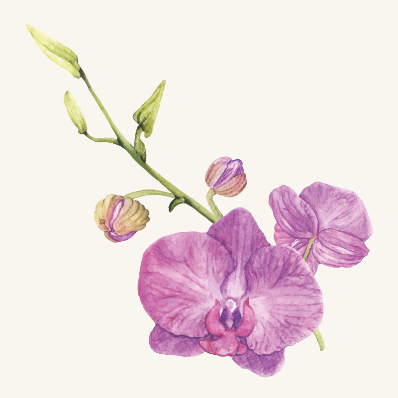 Purple Orchid Blooms floral vinyl rug - TenStickers