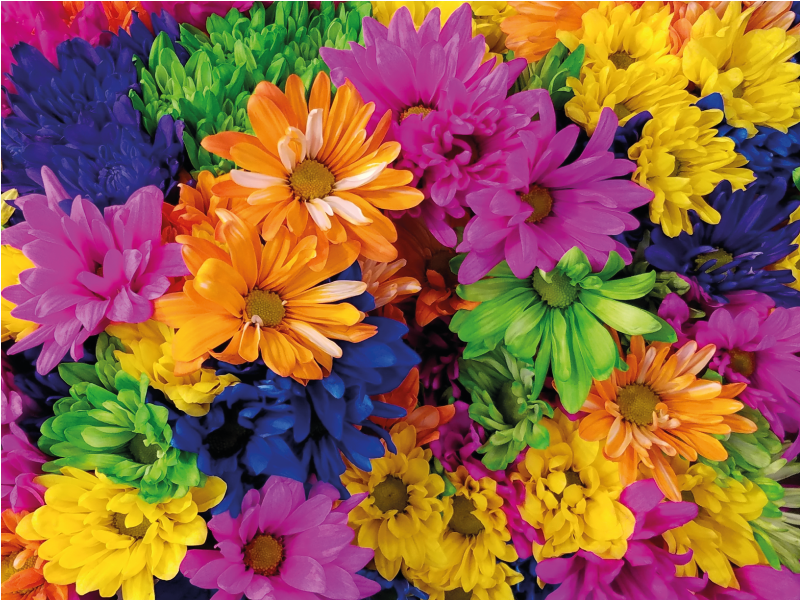 Floral vinyl rug colorful floral arrangement - TenStickers