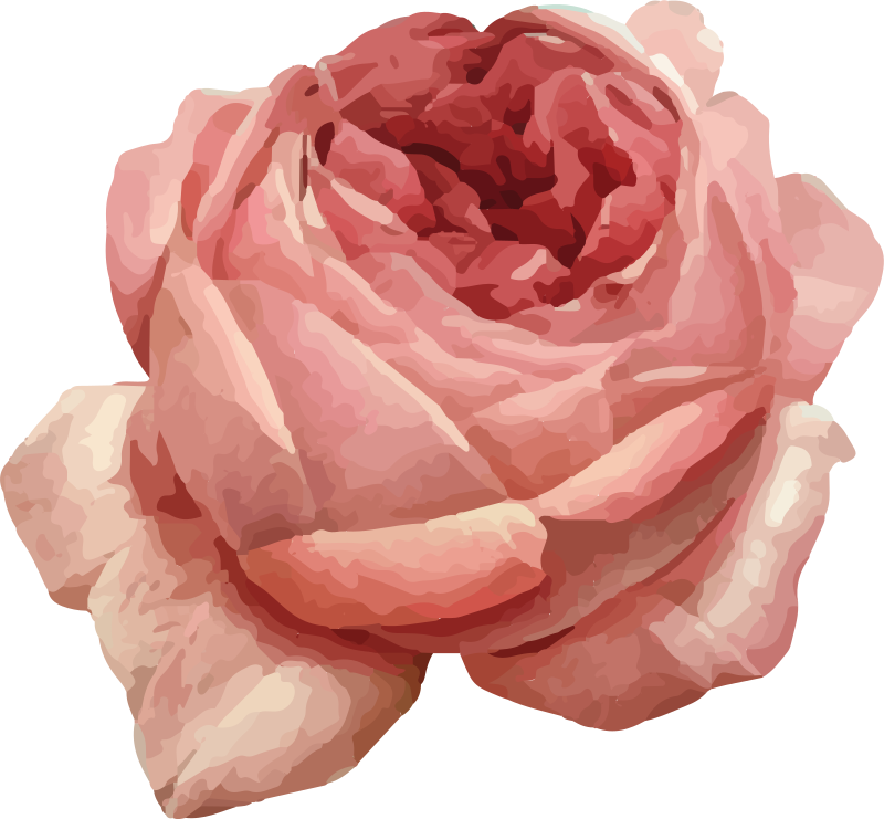 Light pink rose nature vinyl rug - TenStickers