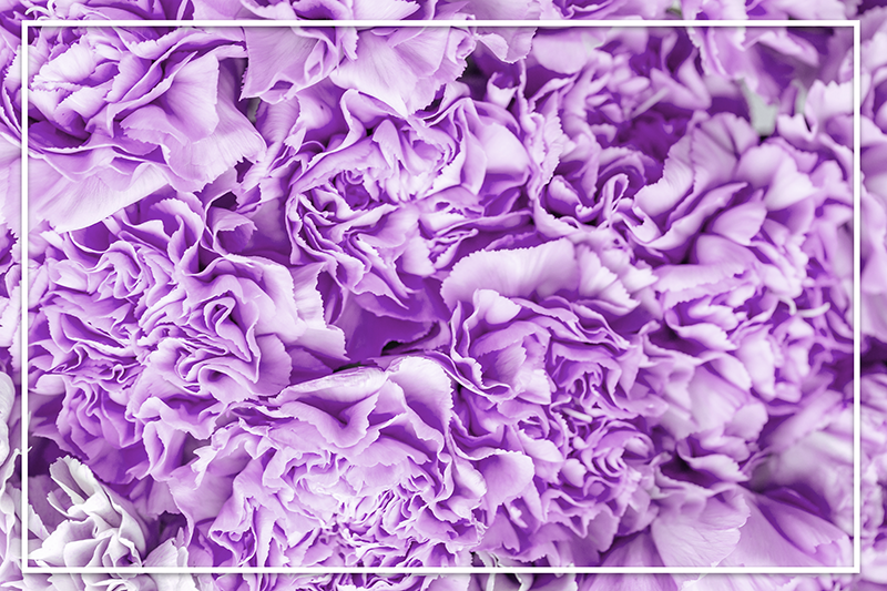 Vibrant Purple Blooms floral vinyl rug - TenStickers