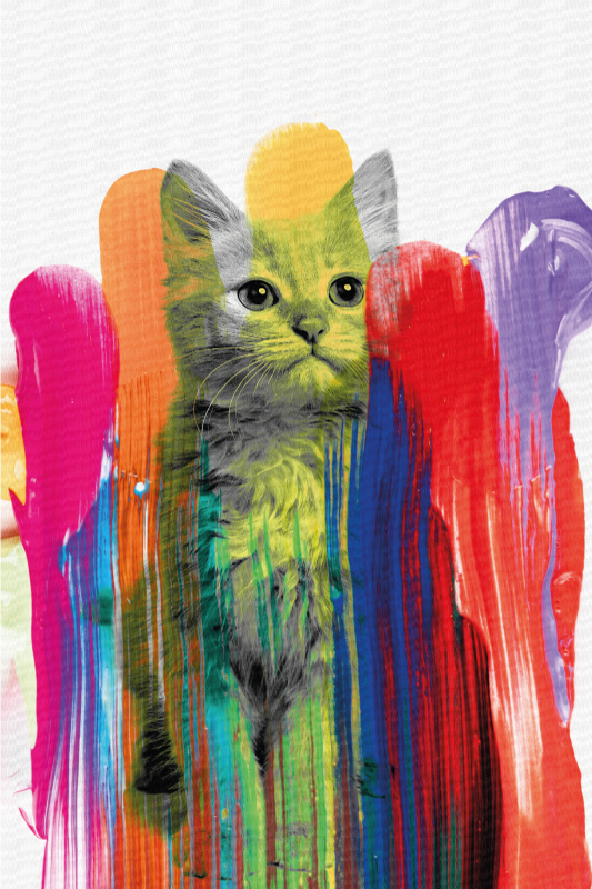 Colorful Cat Portrait modern vinyl rug - TenStickers