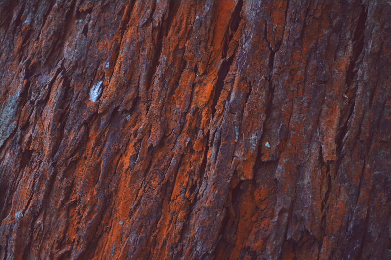 Rustic wood grain effect vinyl rug - TenStickers