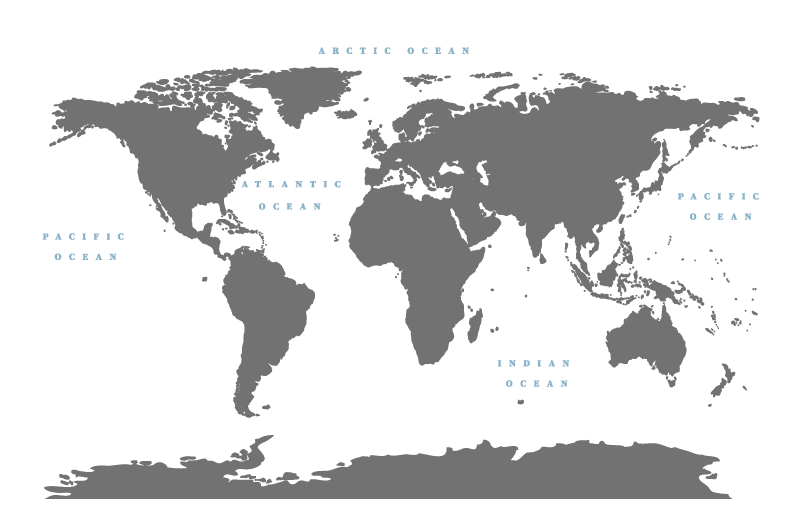 Gray continents with white background map rug - TenStickers