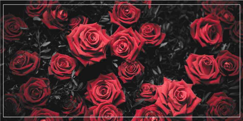 Realistic red roses design floral vinyl rug - TenStickers