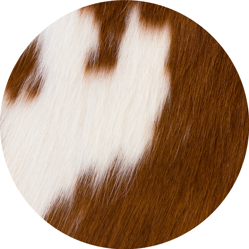 Brown white cow fur texture circular rug - TenStickers