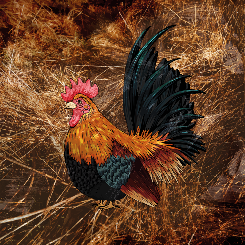 Animal print vinyl rug with colorful rooster design - TenStickers