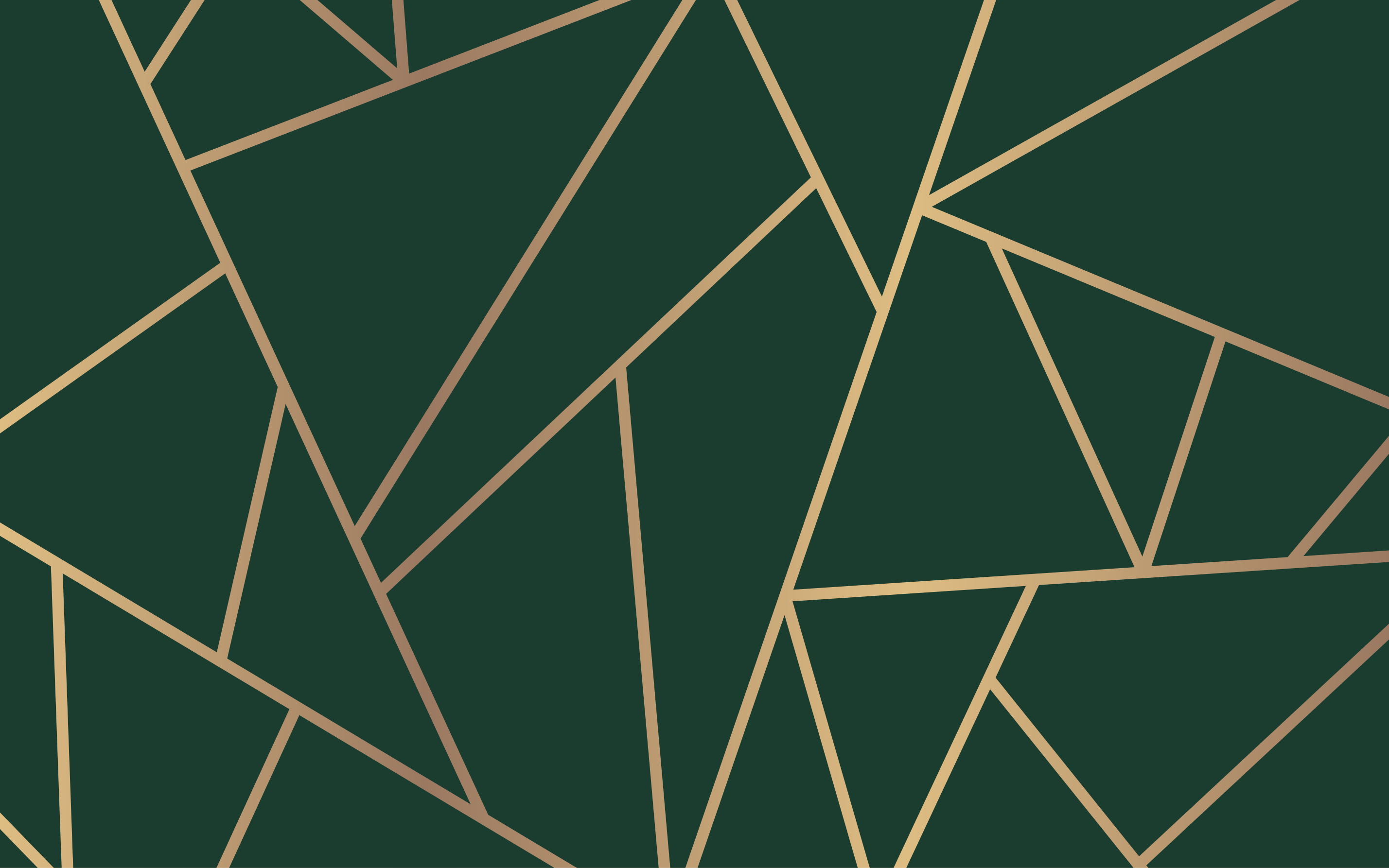 Golden lines bottle green background modern rug - TenStickers