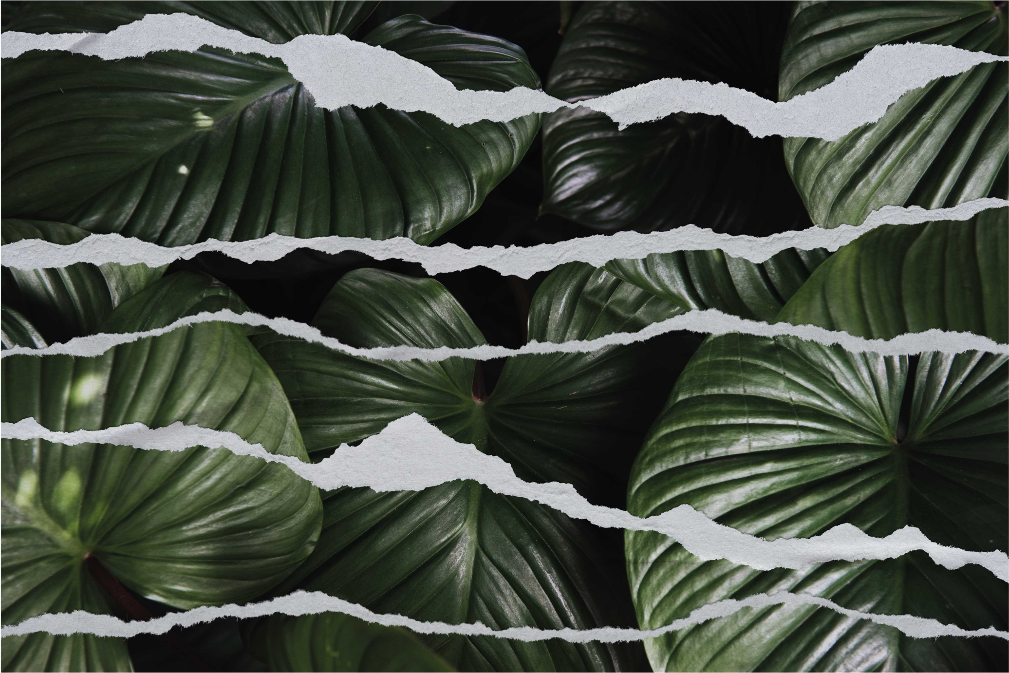 Leaf background with ripped paper bedroom rug - TenStickers