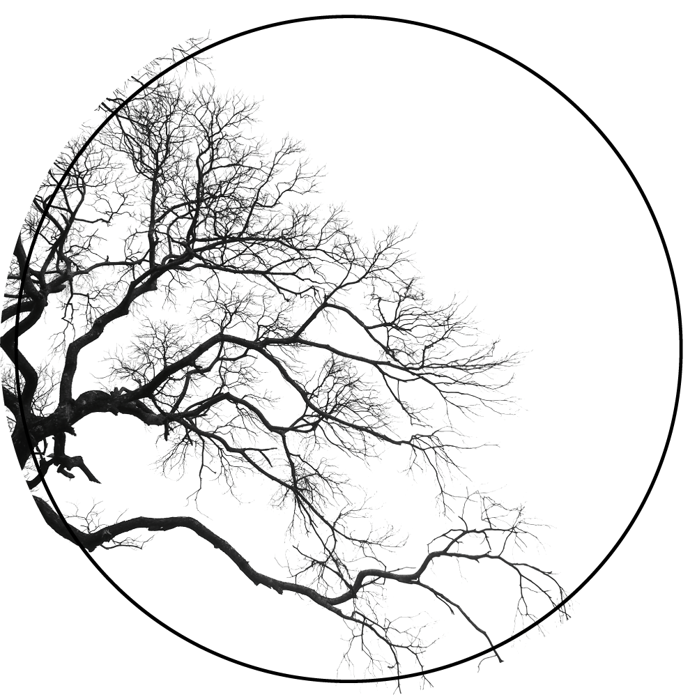 Branch Silhouette Art nature vinyl rug - TenStickers