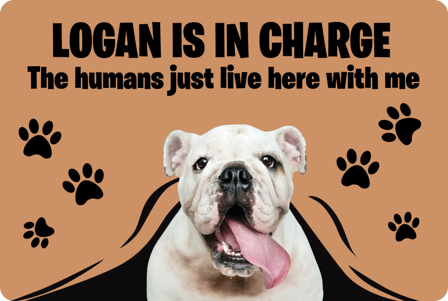 Custom photo pet entrance vinyl rug - TenStickers