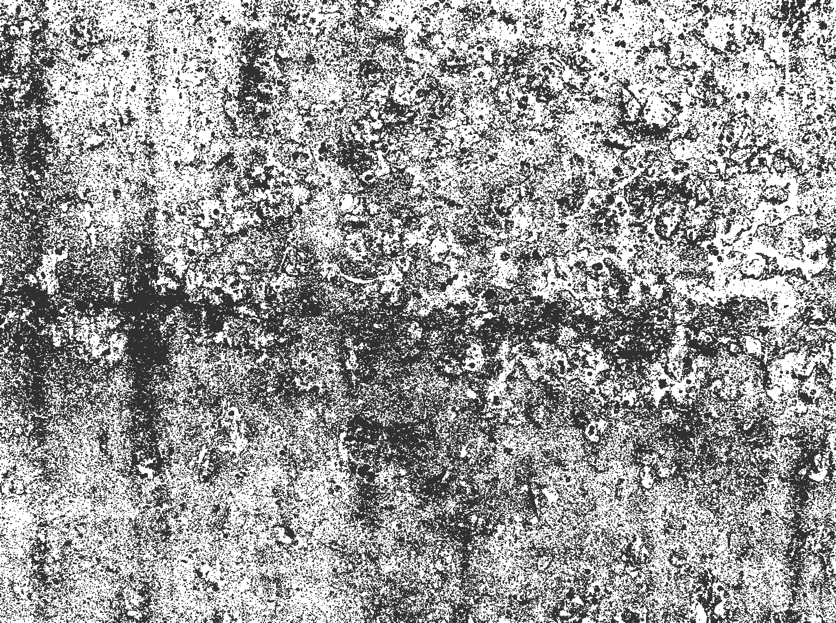 Faded grey dining room carpet - TenStickers