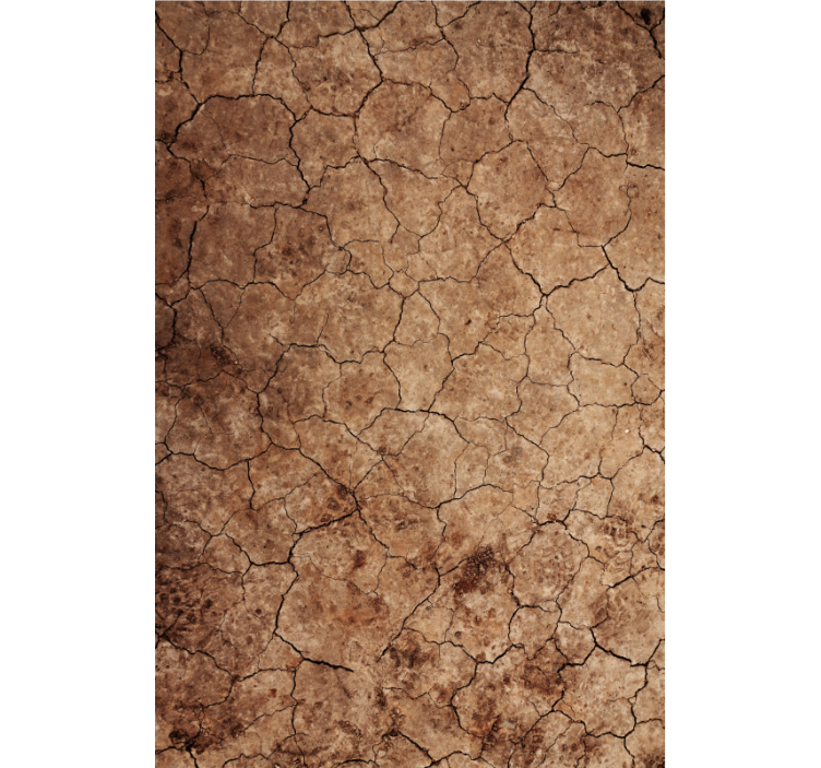 Textured wallpaper with arid cracked erosion effect - TenStickers