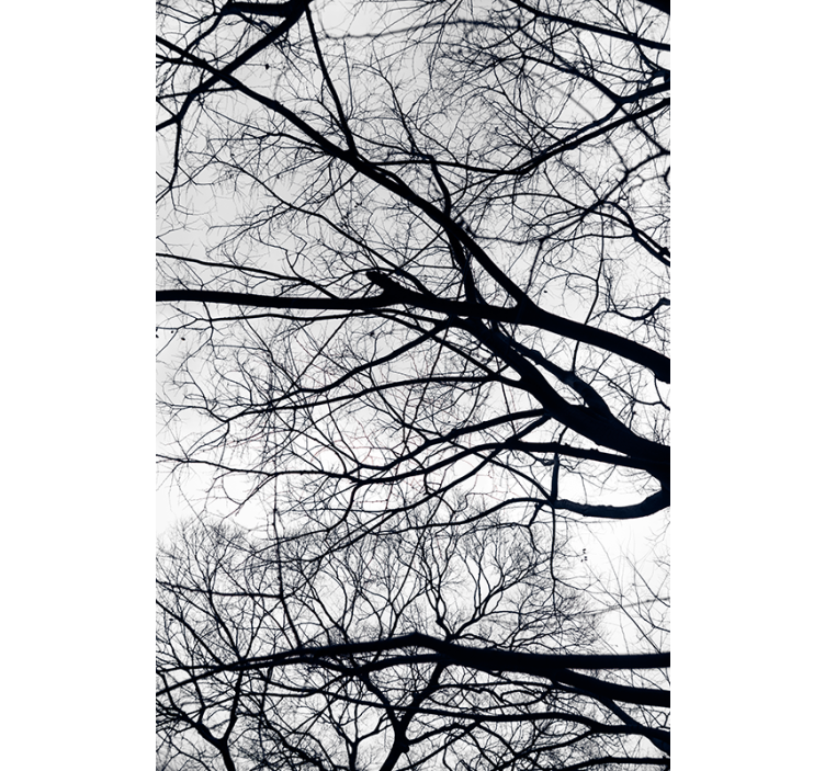 Wallpaper of a tree in white and gray - TenStickers