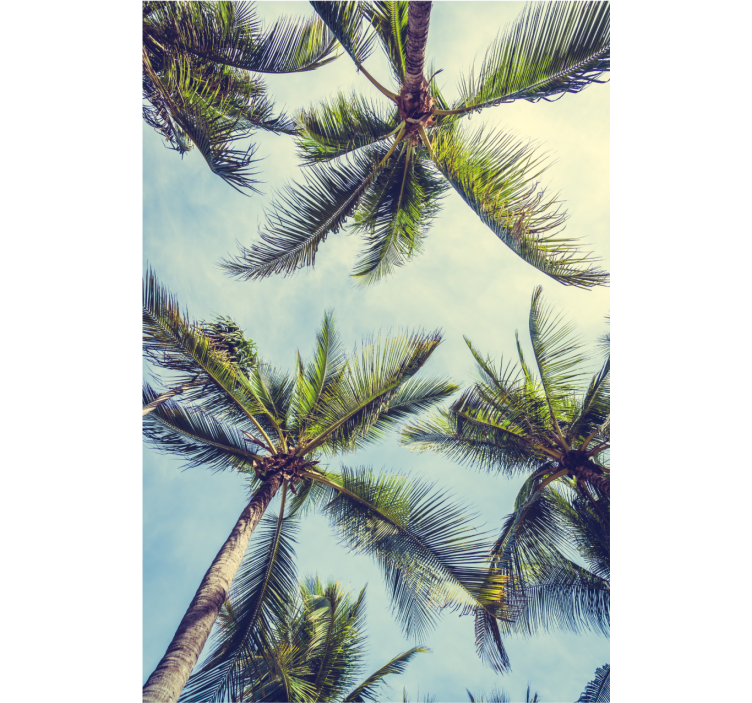 Wallpaper of a tree palm trees from below - TenStickers
