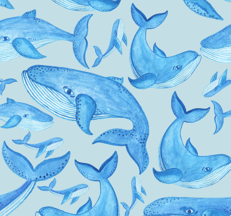 Organized whales animal wallpaper - TenStickers