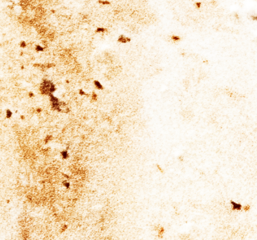 Soft marble texture Marble Effect Wallpaper - TenStickers